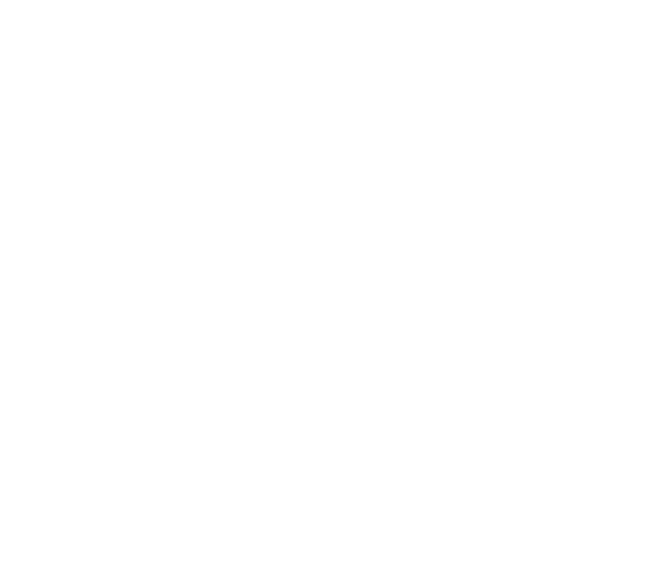 AT&T FanCam